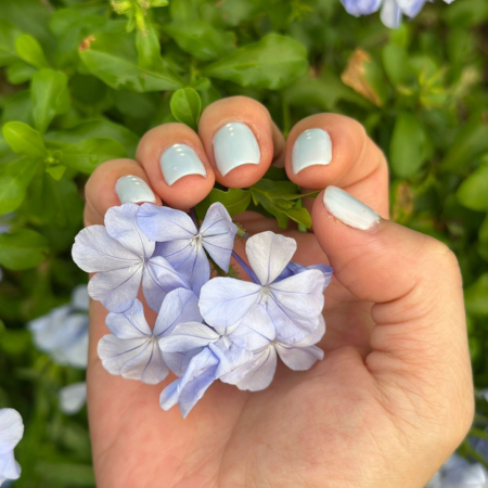 Services 1 450 x 450